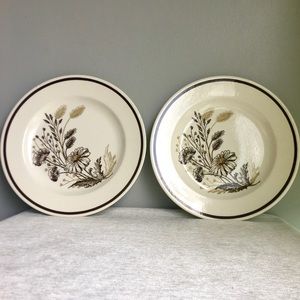 (2) 70’s floral dinner plates <neutral>